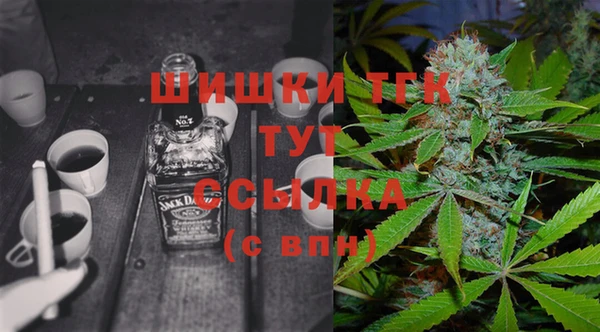 гидра Дмитров