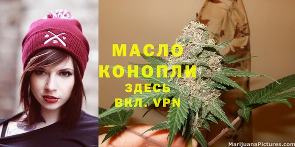 гидра Дмитров