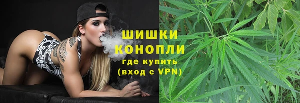 гидра Дмитров