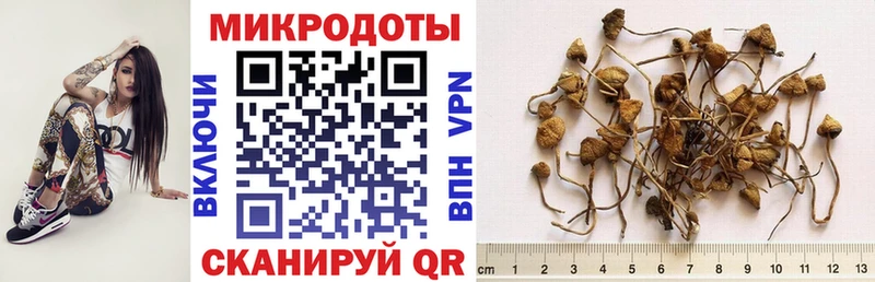 Галлюциногенные грибы прущие грибы  где продают   Дятьково 
