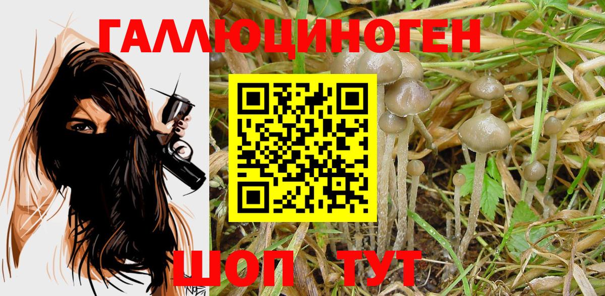 ТГК  Вход с VPN  Героин  Дятьково  Лсд 25  ГАШ  COCAIN  Мефедрон  