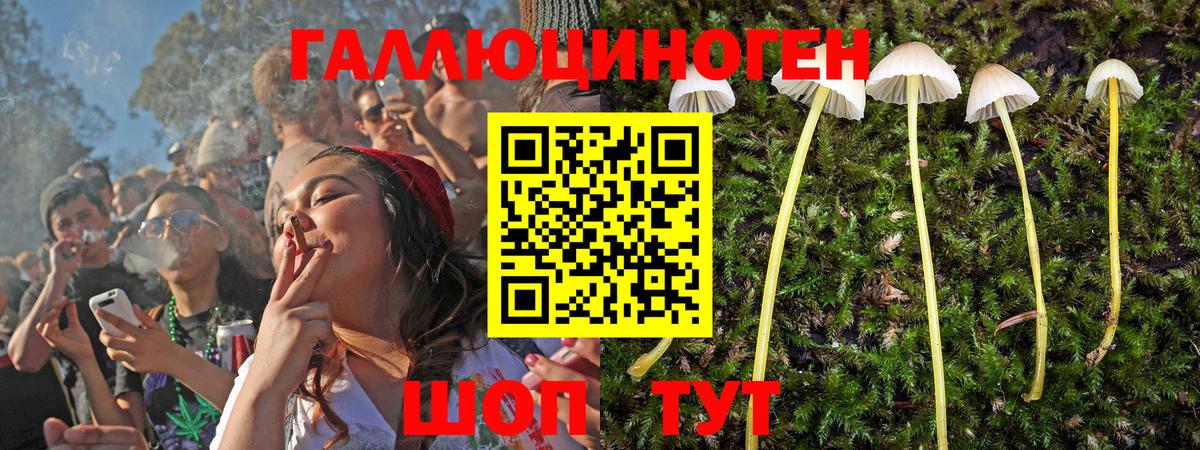 Псилоцибиновые грибы GOLDEN TEACHER Дятьково
